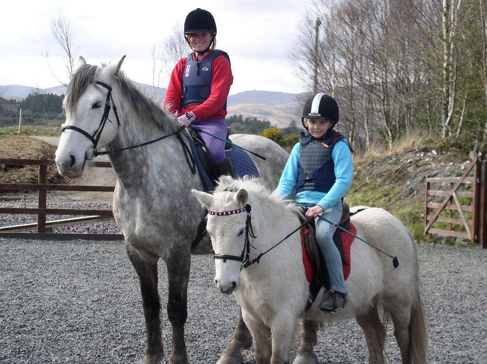 Eclipse Holiday Homes & Adventure Centre Kenmare Bagian luar foto