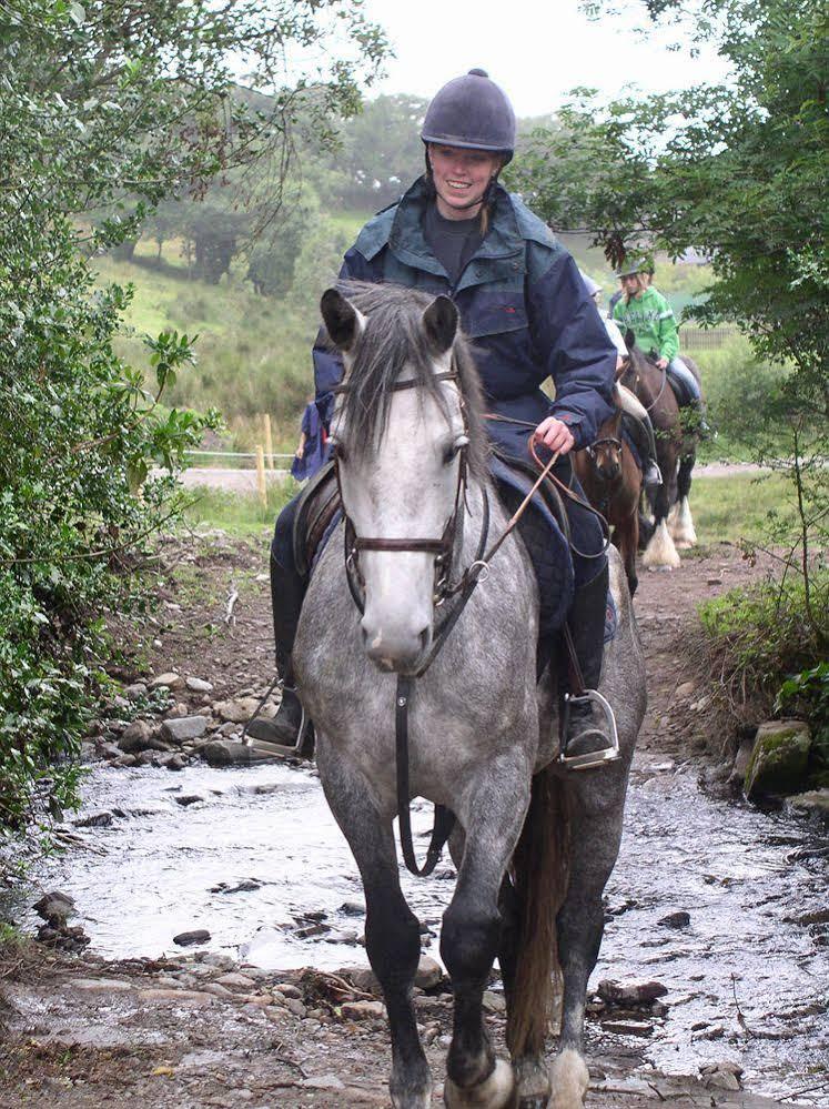 Eclipse Holiday Homes & Adventure Centre Kenmare Bagian luar foto