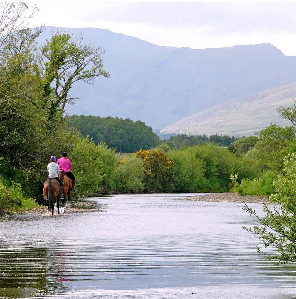 Eclipse Holiday Homes & Adventure Centre Kenmare Bagian luar foto